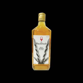 blackbuck